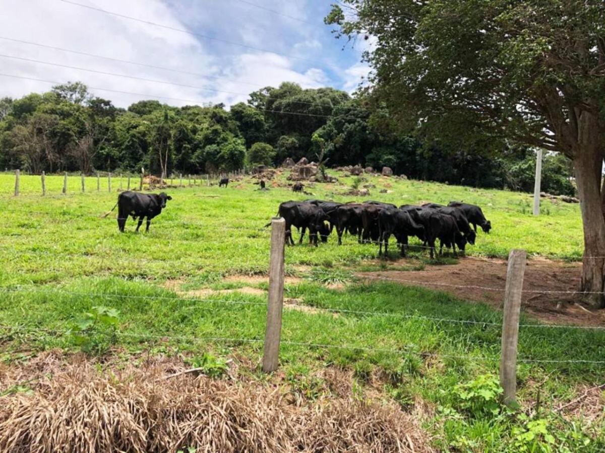 Sitio No Interior De Sp Para Curtir A Natureza أغواس دا براتا المظهر الخارجي الصورة