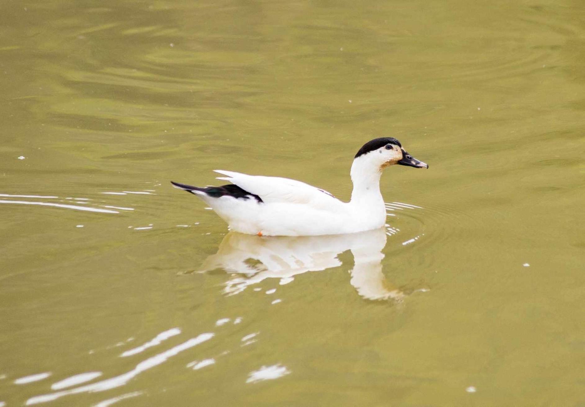 Sitio No Interior De Sp Para Curtir A Natureza أغواس دا براتا المظهر الخارجي الصورة